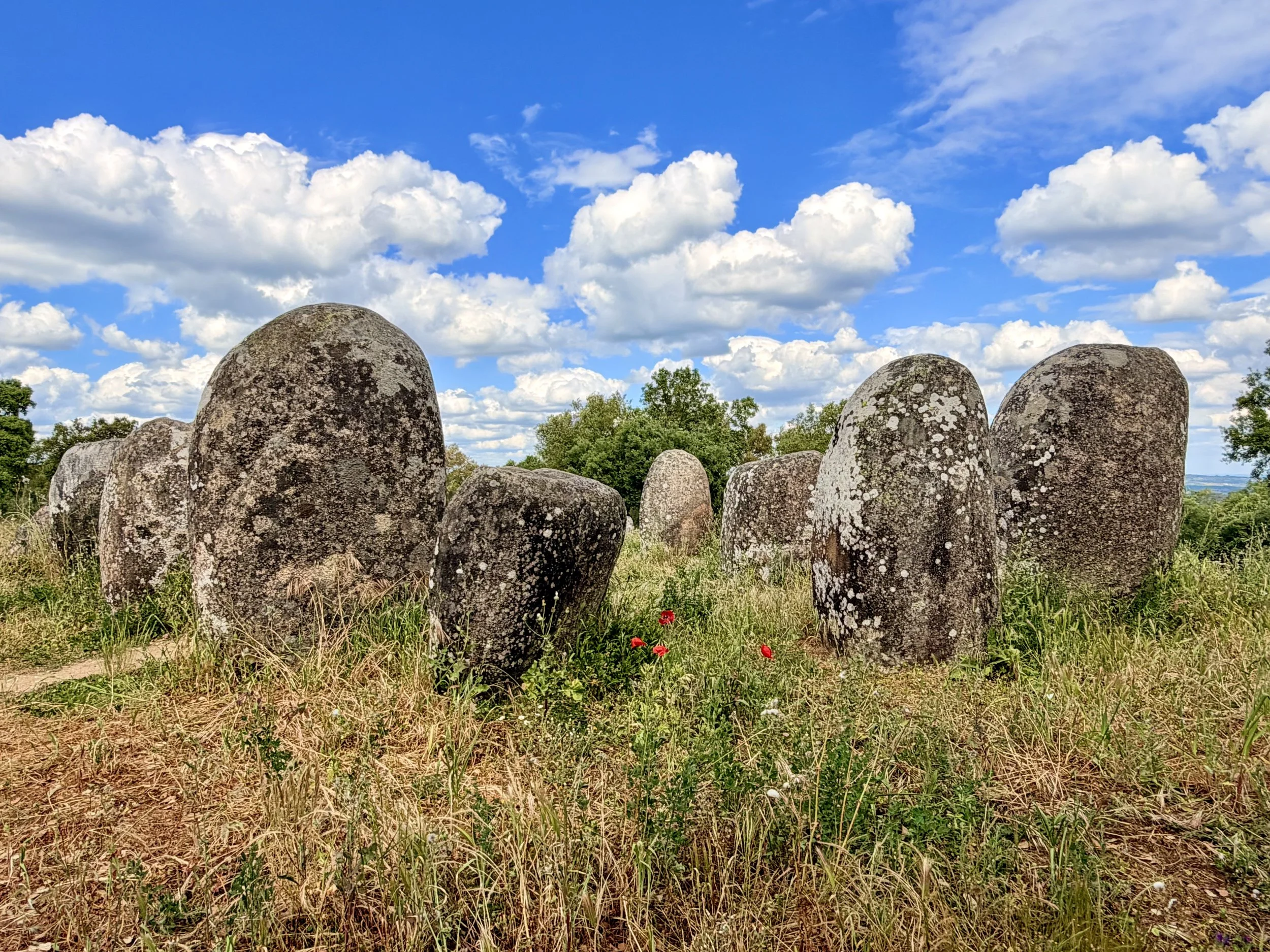Megalithic standing stones with red poppies