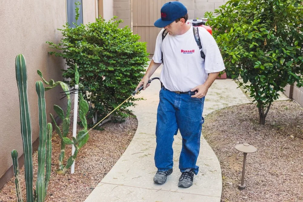 Russell Pest Control bee removal program in Glendale, AZ