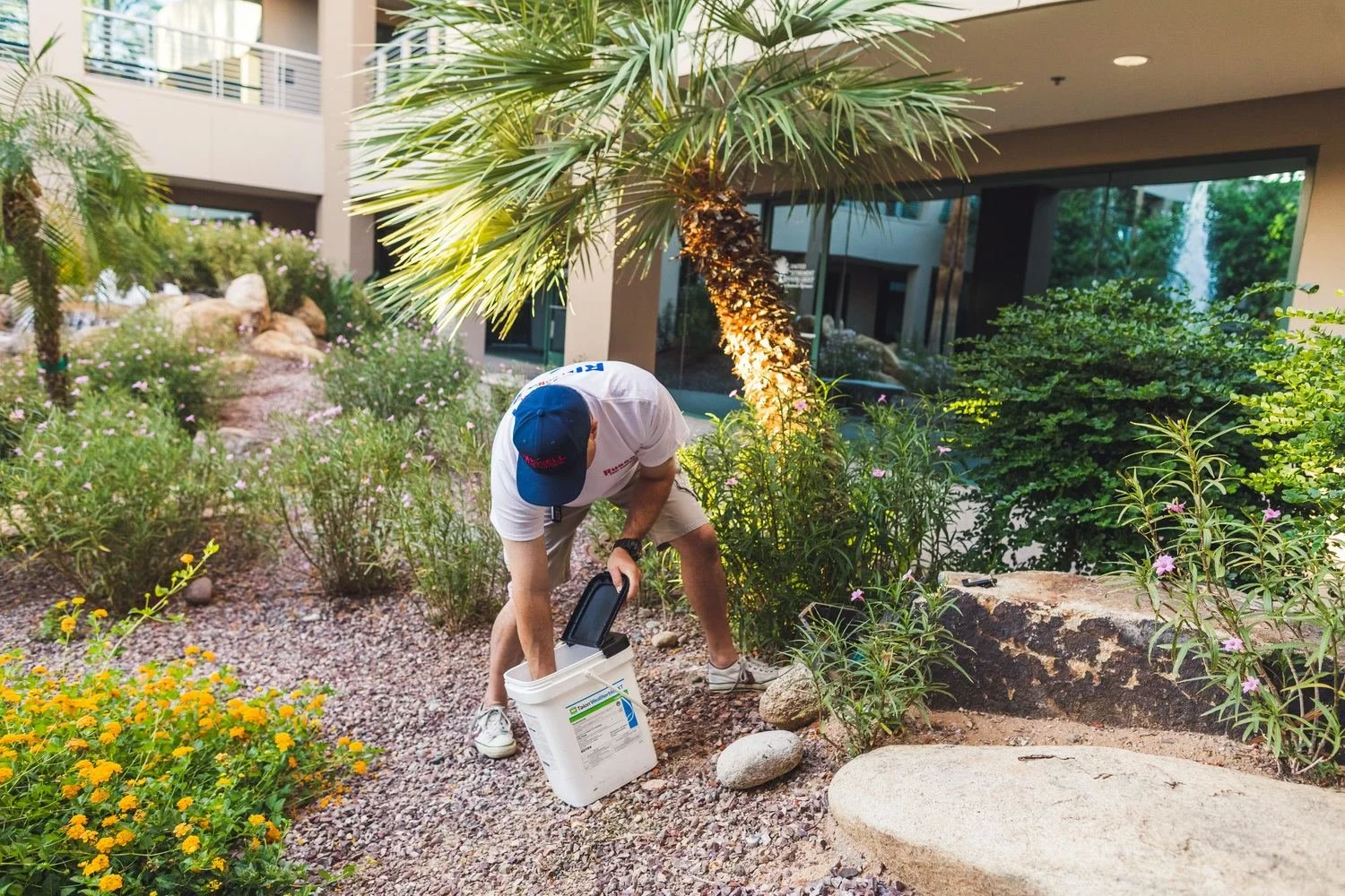 Glendale, AZ property served by Russell Pest Control