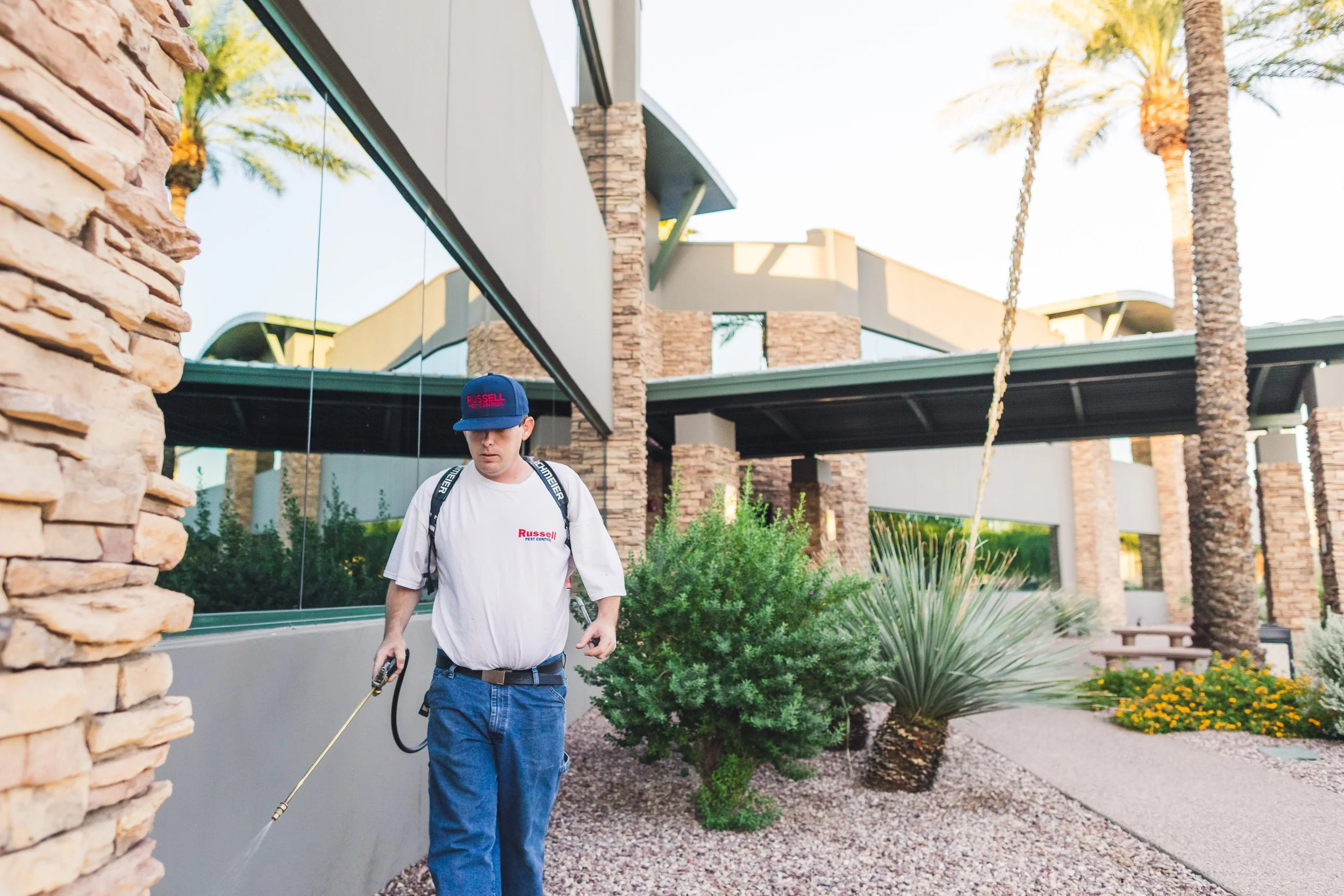 Russell Pest Control certified commercial pigeon removal specialist checking traps