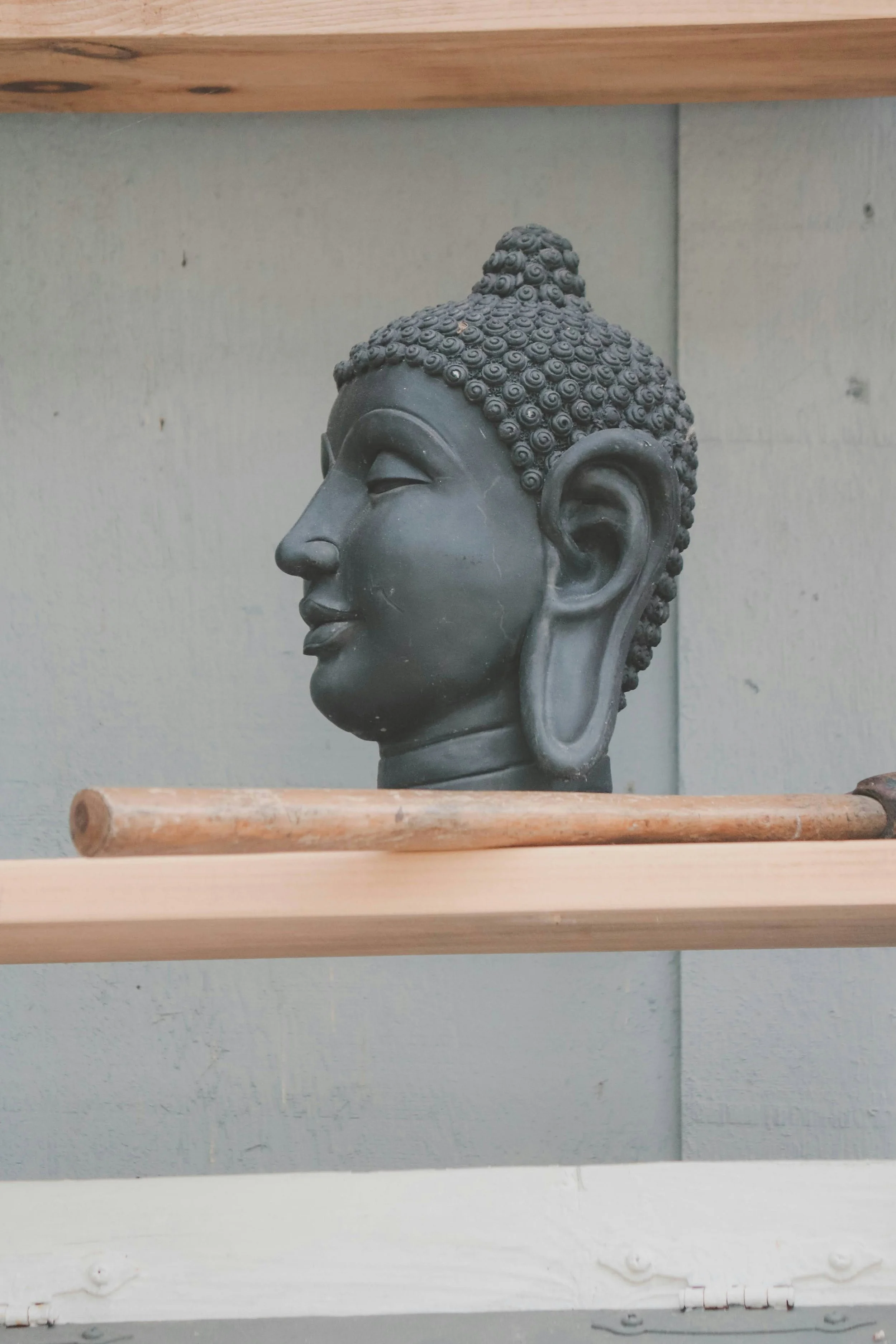 Portfolio image