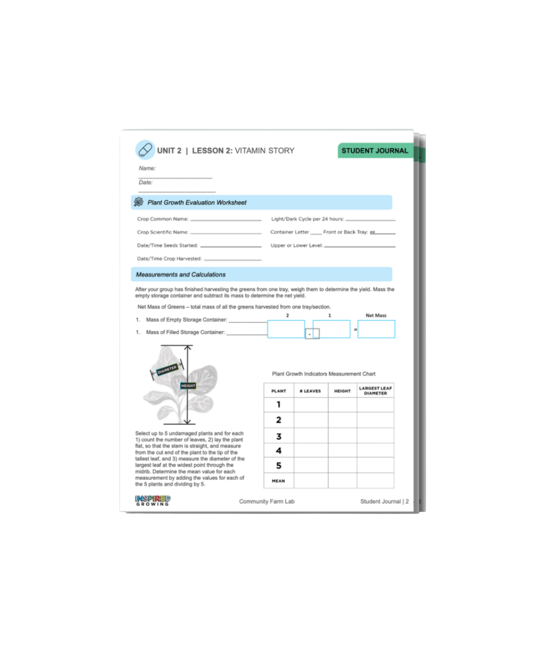 Curriculum Sample