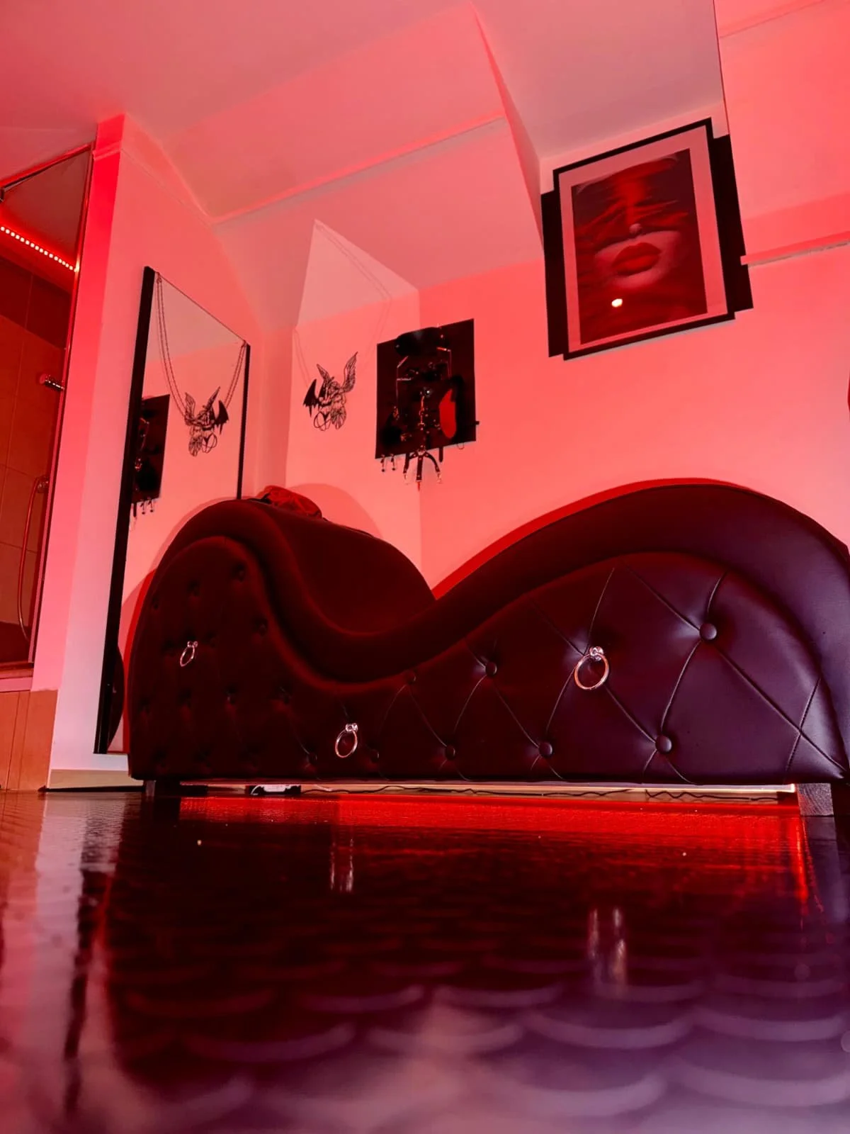 BDSM Room