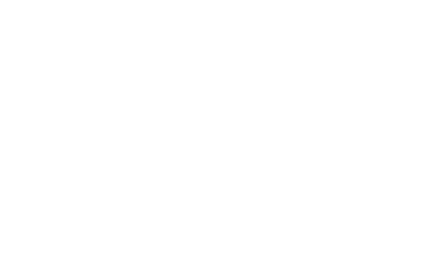 Strategy and Compliance icon