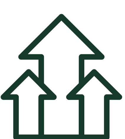 Increase asset value icon