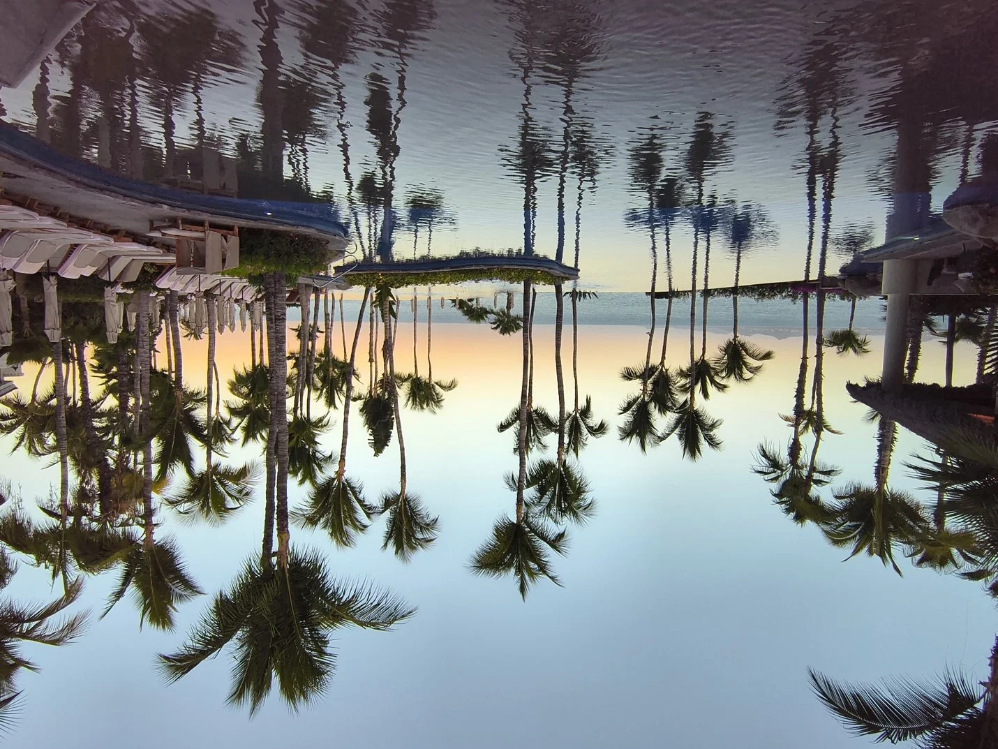 Palm trees reflected in still pool water at sunset