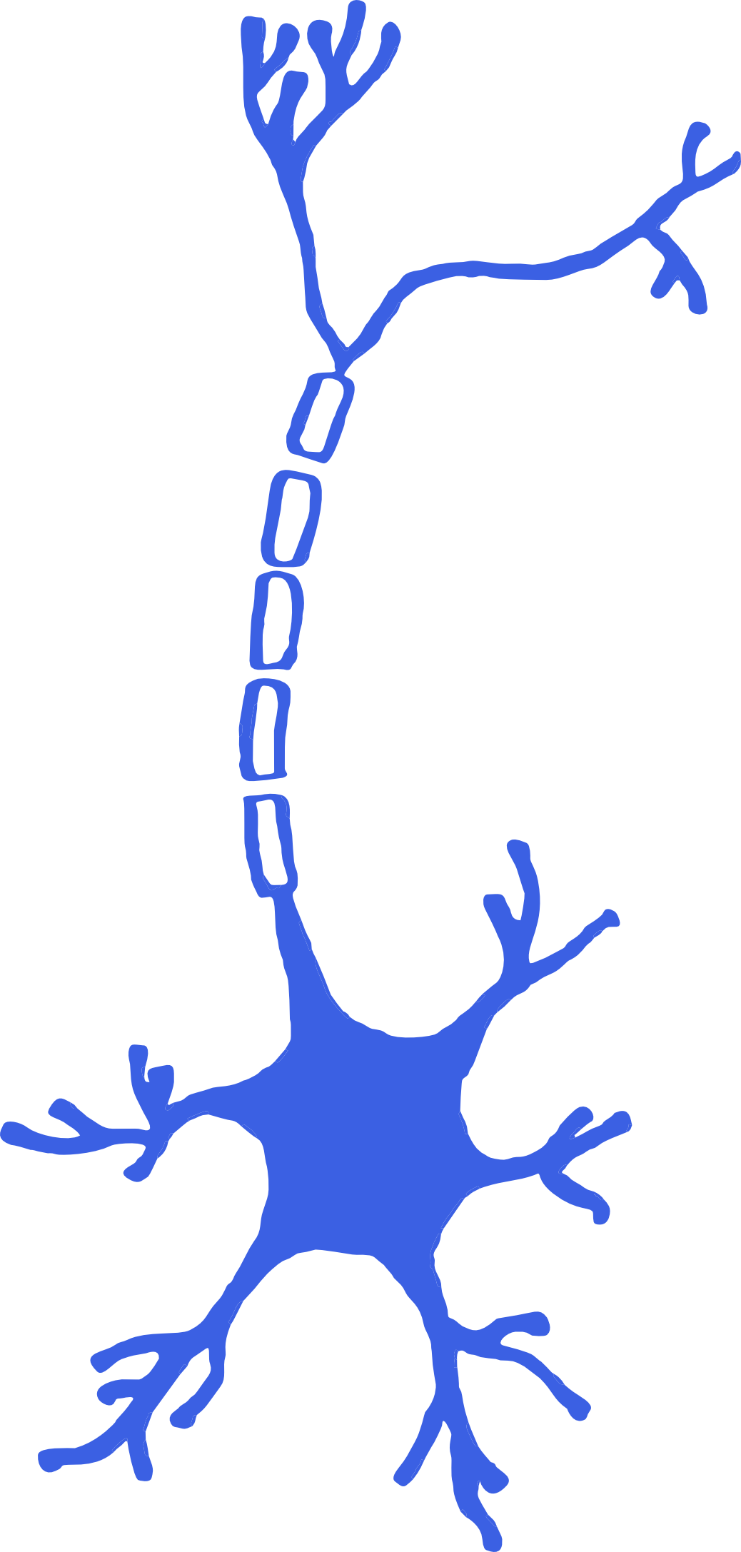 TJU Synapse