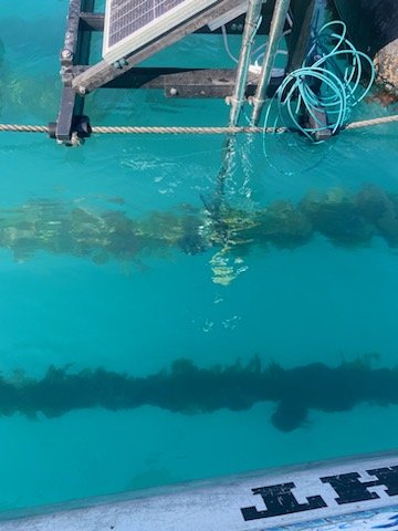 Aquaculture monitoring equipment installed at an operating site