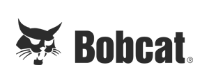 Bobcat