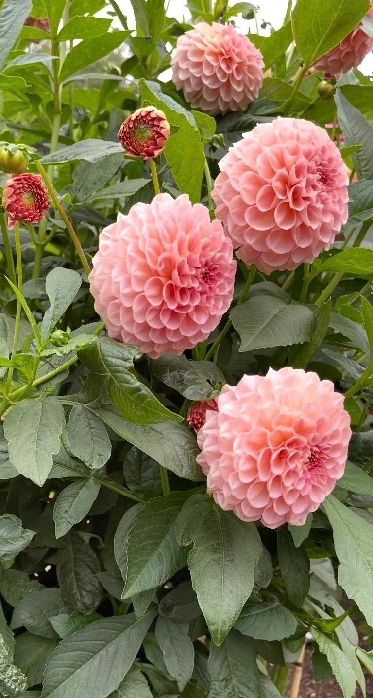 Flower bouquet