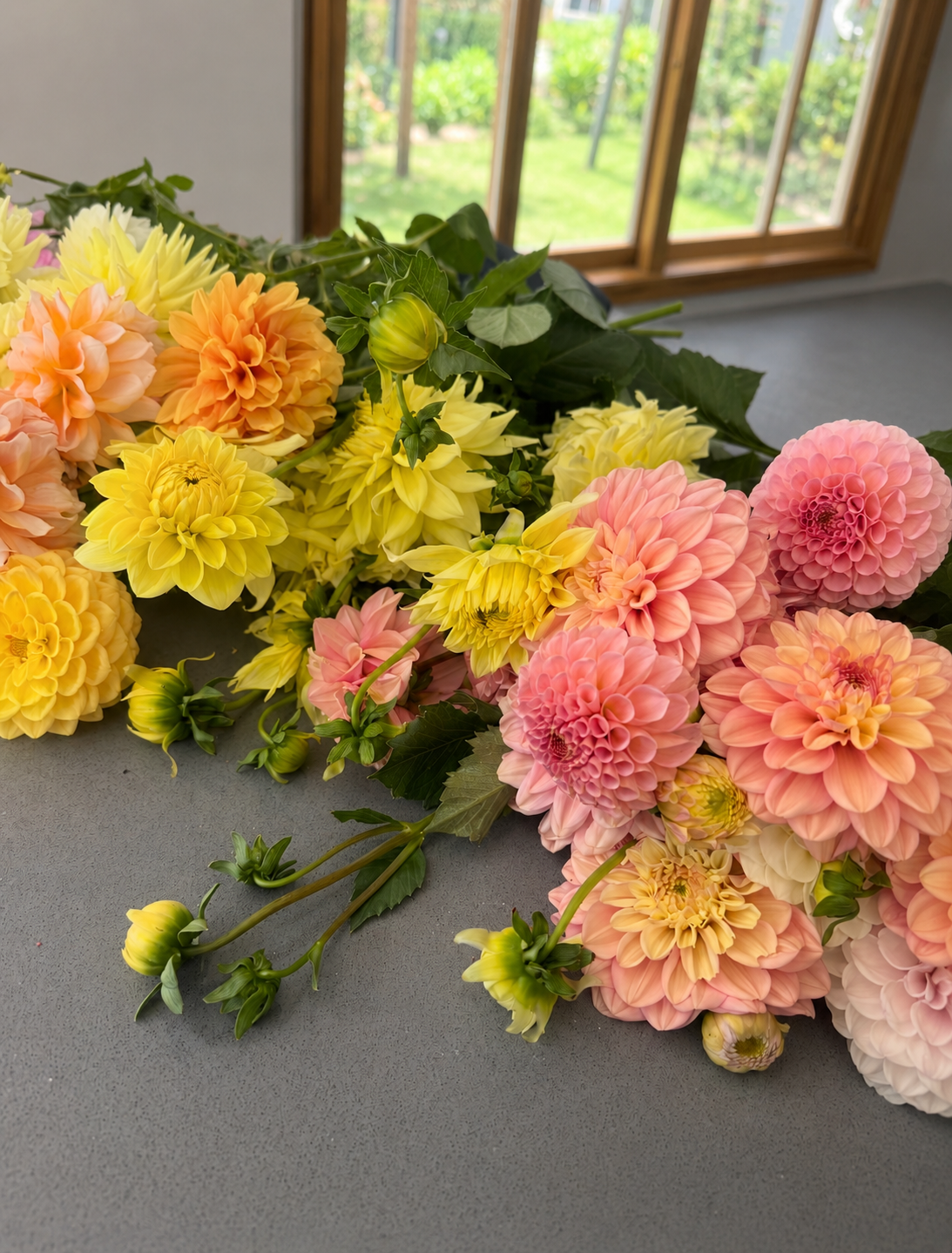 Dahlia Bunches
