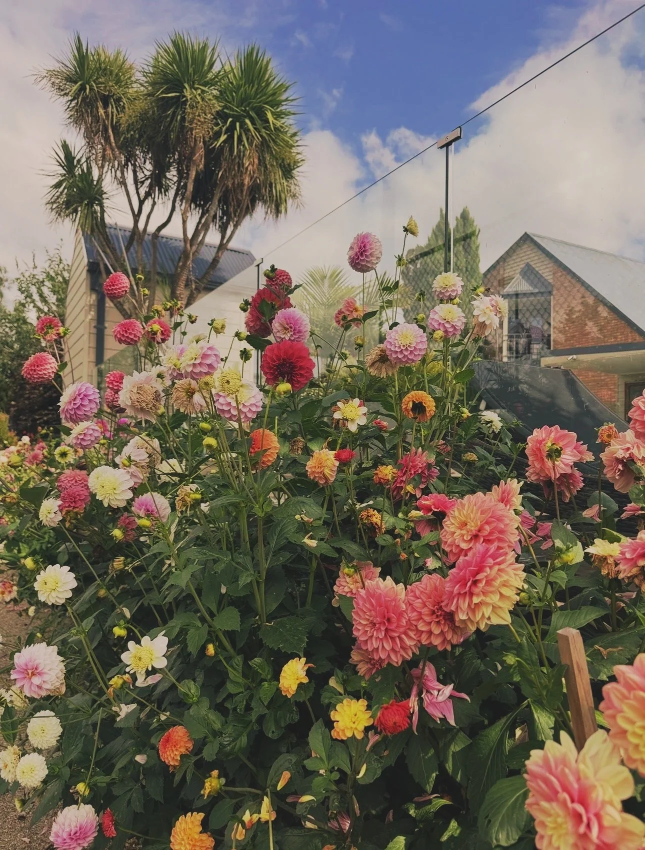Garden with flowers and vegetables