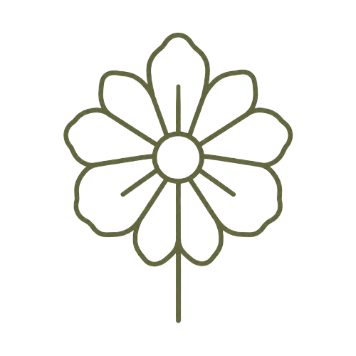 Beauty to share icon