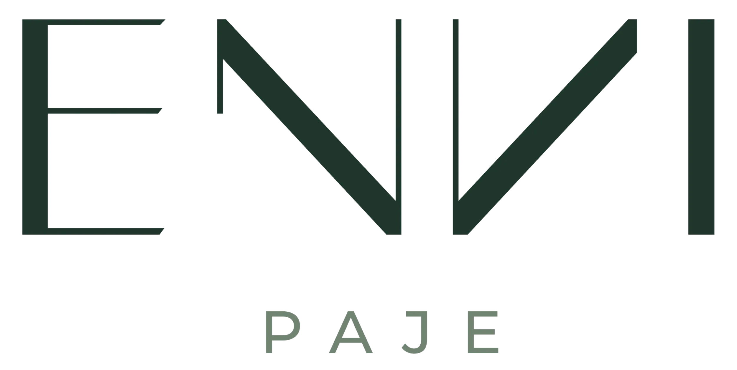 ENVI Paje