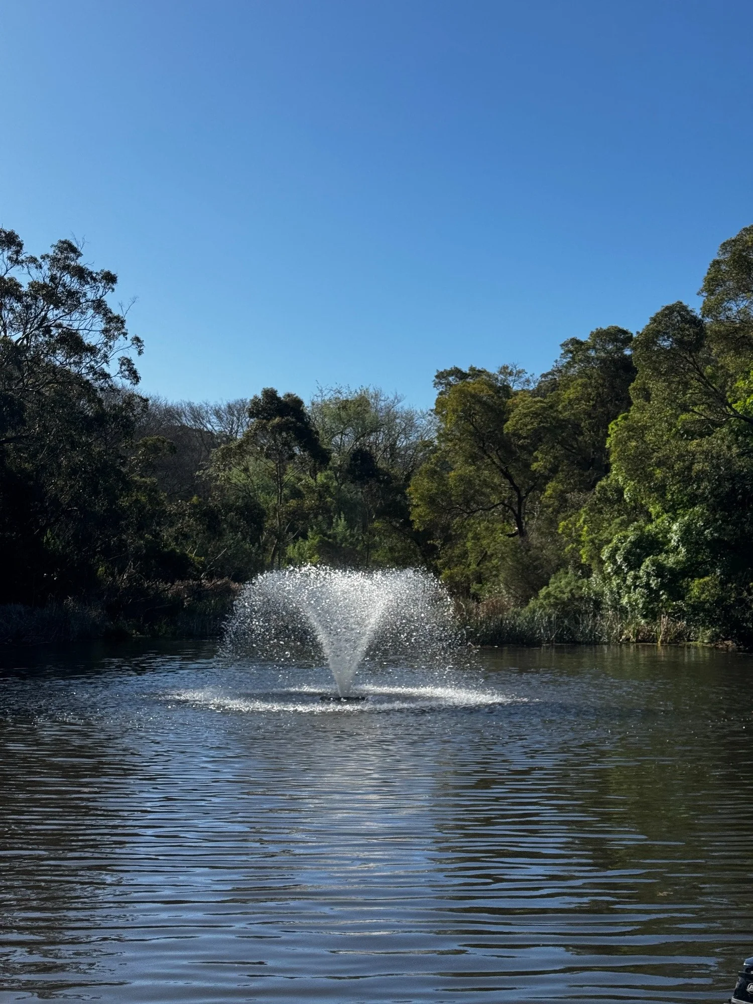 Floating fountain spraying over a lake surrounded by trees