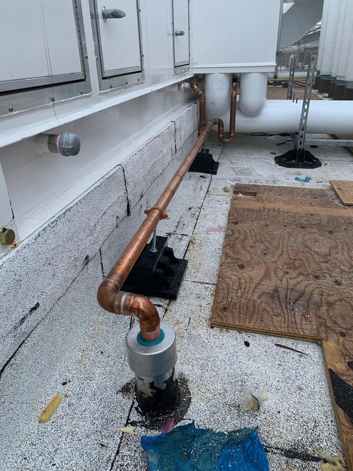 Seal Plumbing commercial project 29