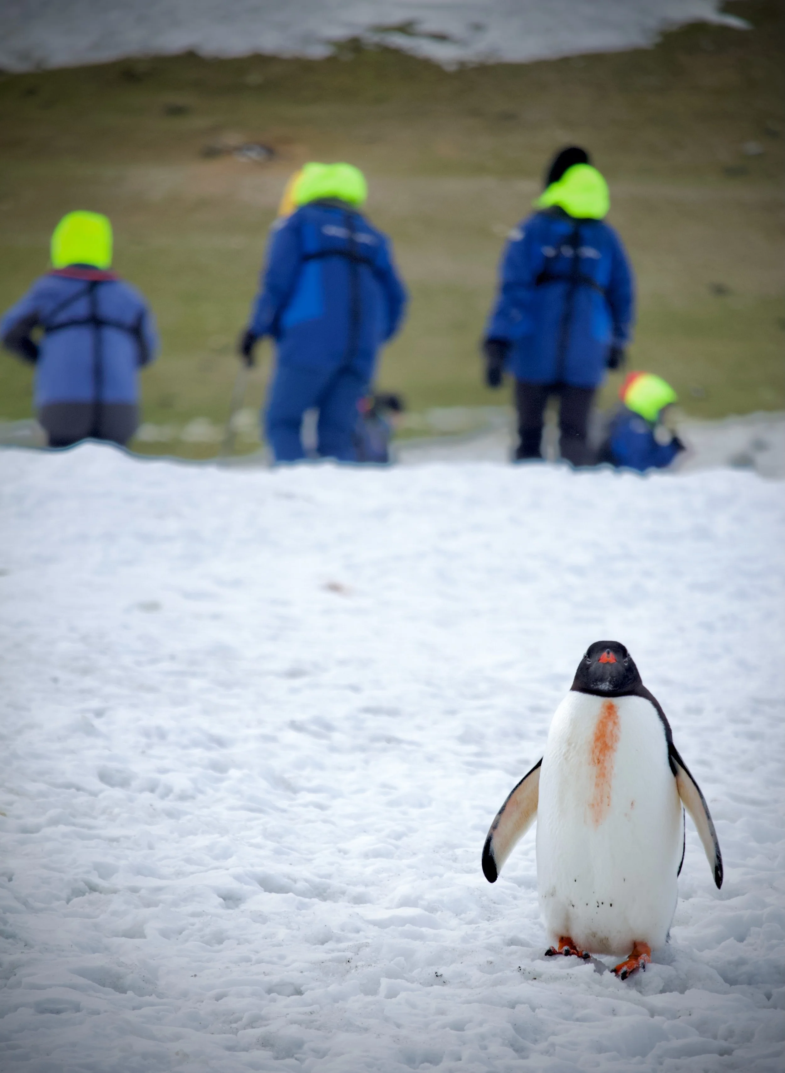 Expedition photo