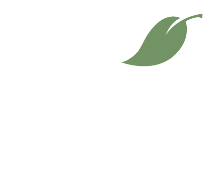 Willow Walk Homes