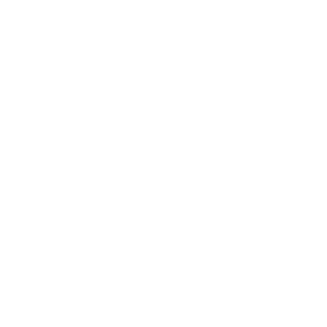 Wellness Consultation icon