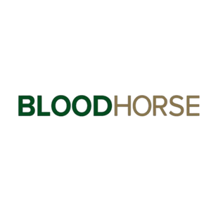 Bloodhorse