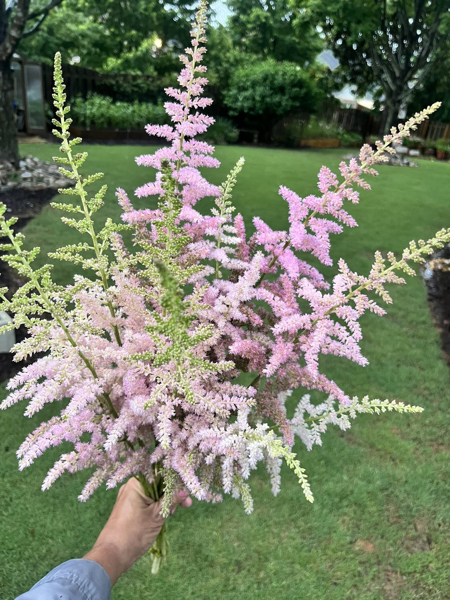 Flower Farm