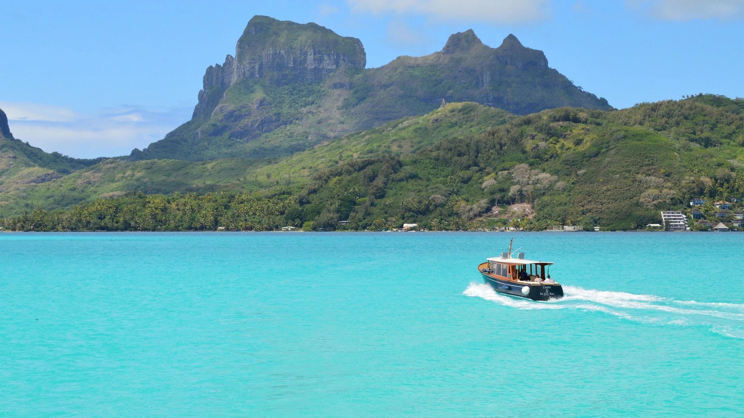 Tropical paradise honeymoon