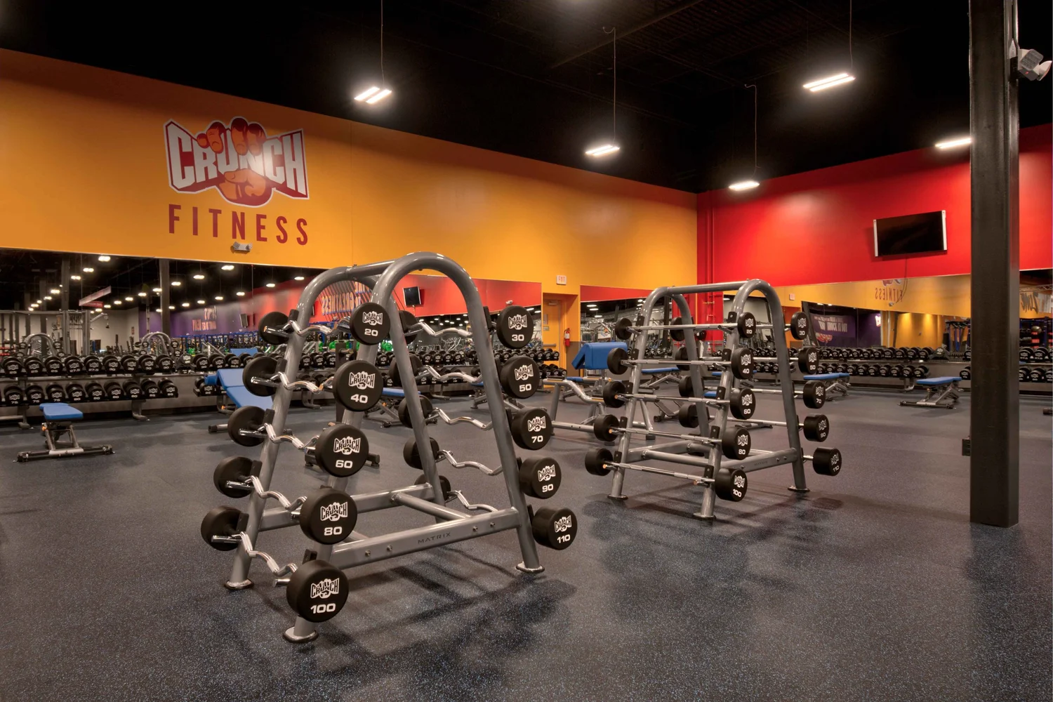 The free weight area, A-frame dumbbell racks and flat benches under an orange and red wall.