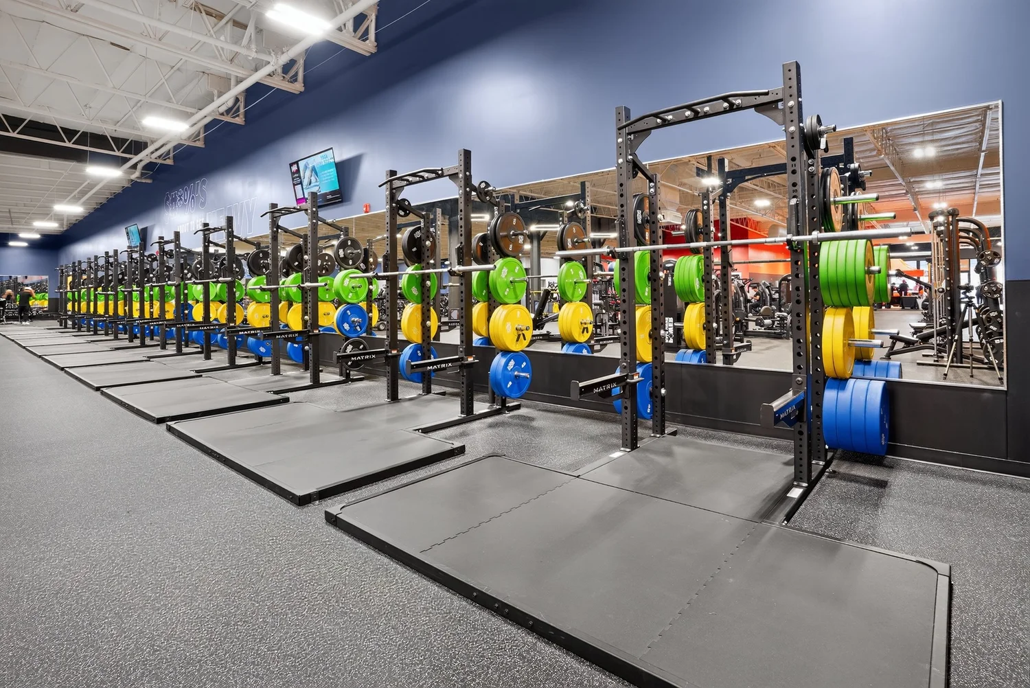 A row of squat racks along a dark blue wall, hung with bumper plates over lifting platforms.