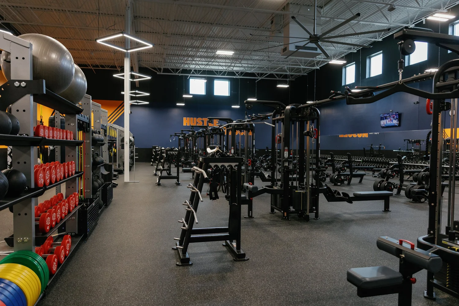 Free weights and multi-station rigs on a black floor, Hustle lettered across a dark blue wall.