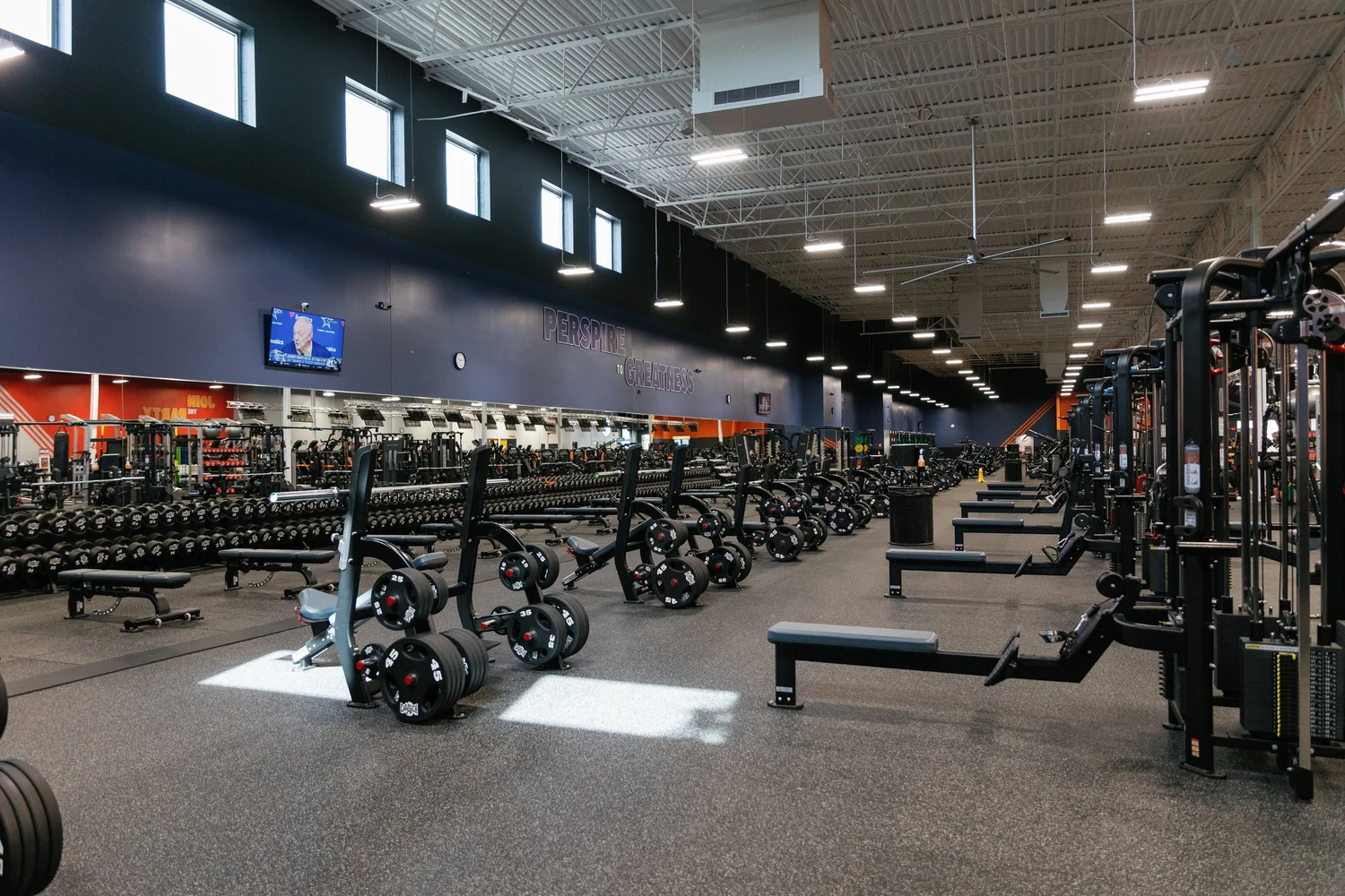 Rows of dumbbells and benches the length of the club, sunlight falling from a row of high windows.