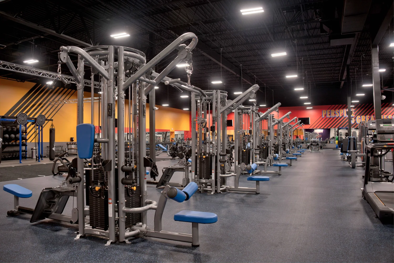 Silver multi-station rigs with blue benches in a row, an orange wall and training lettering behind.