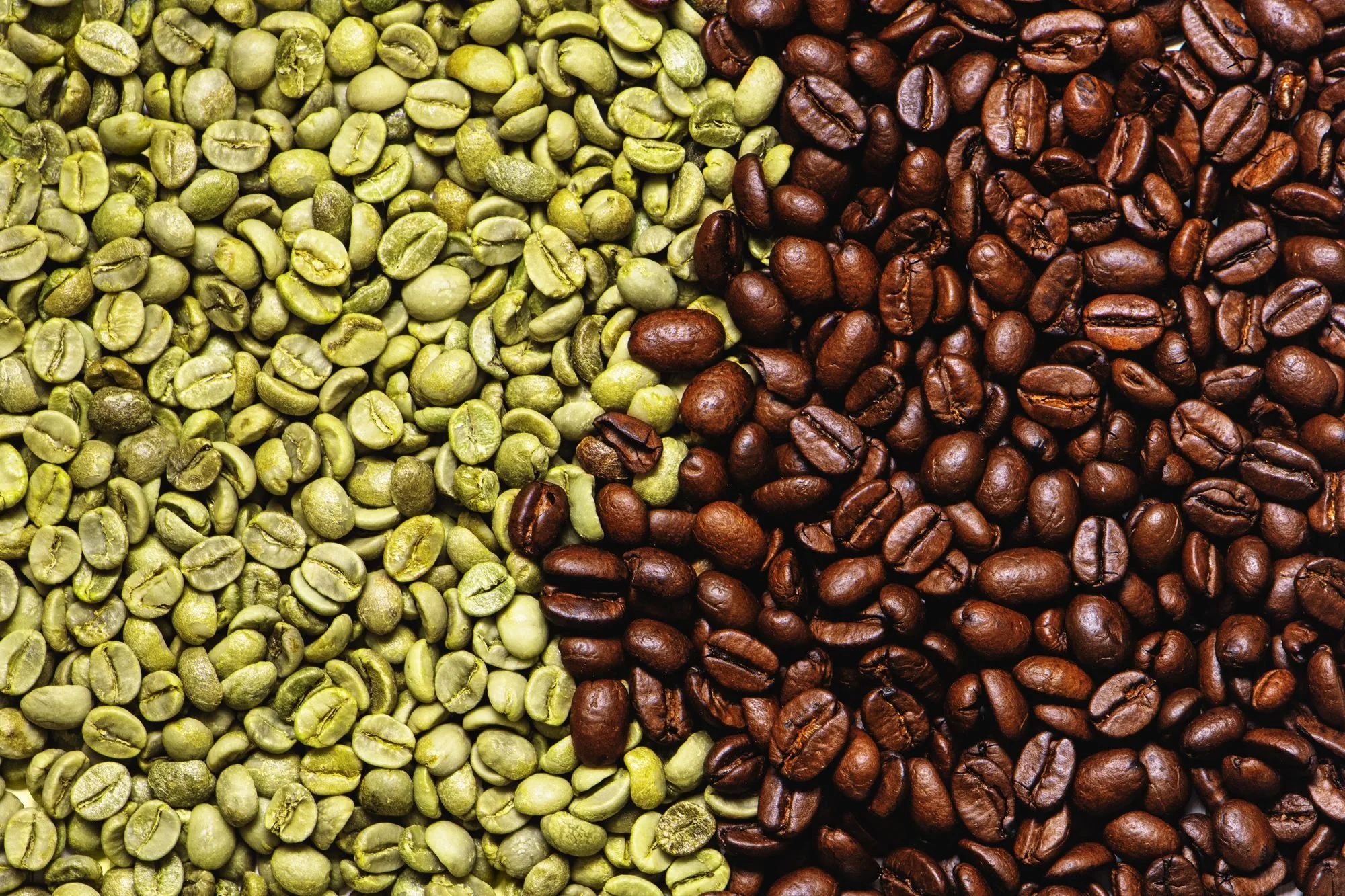 Green coffee beans beside roasted beans, split down the middle of the frame