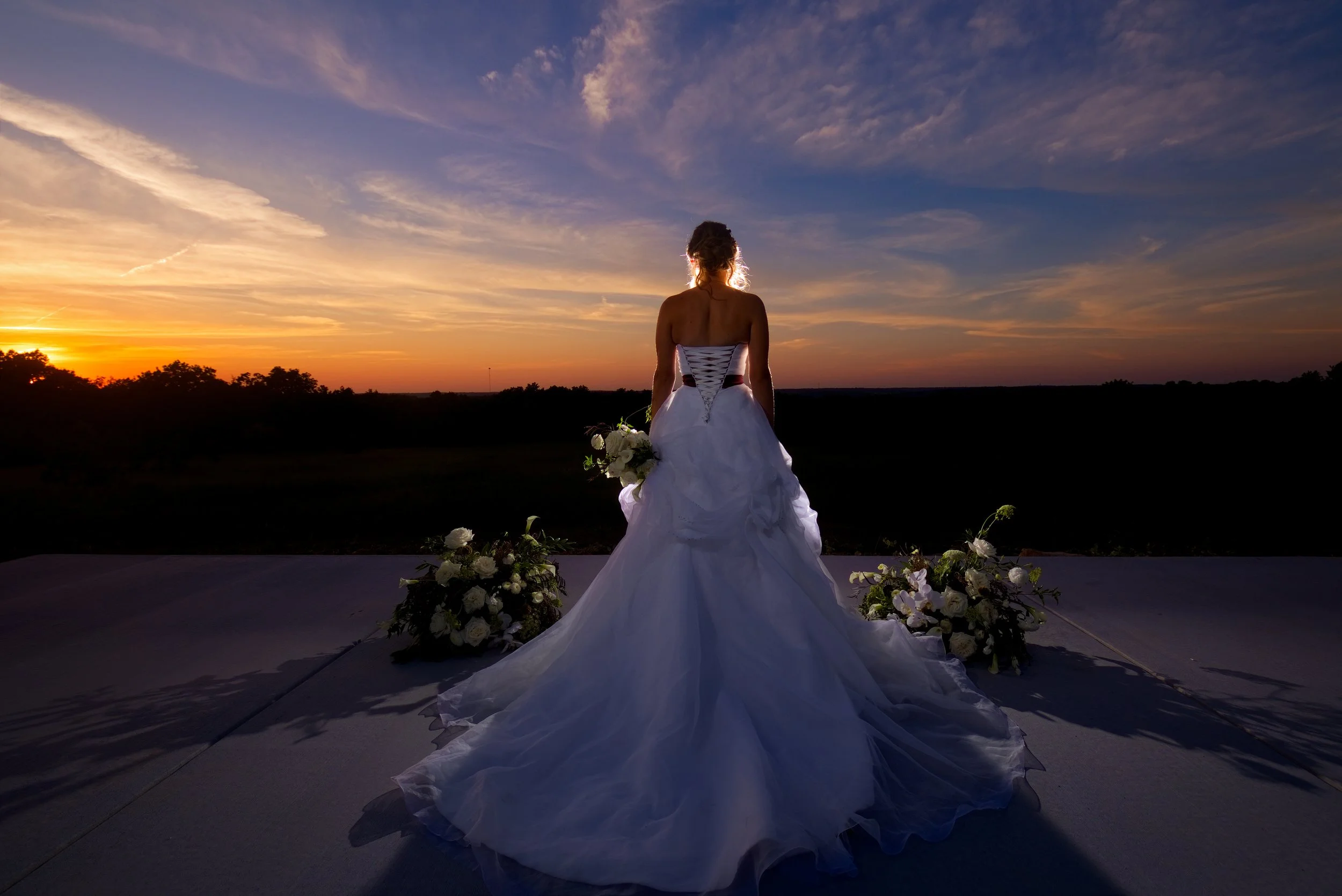 An Ivory Evening