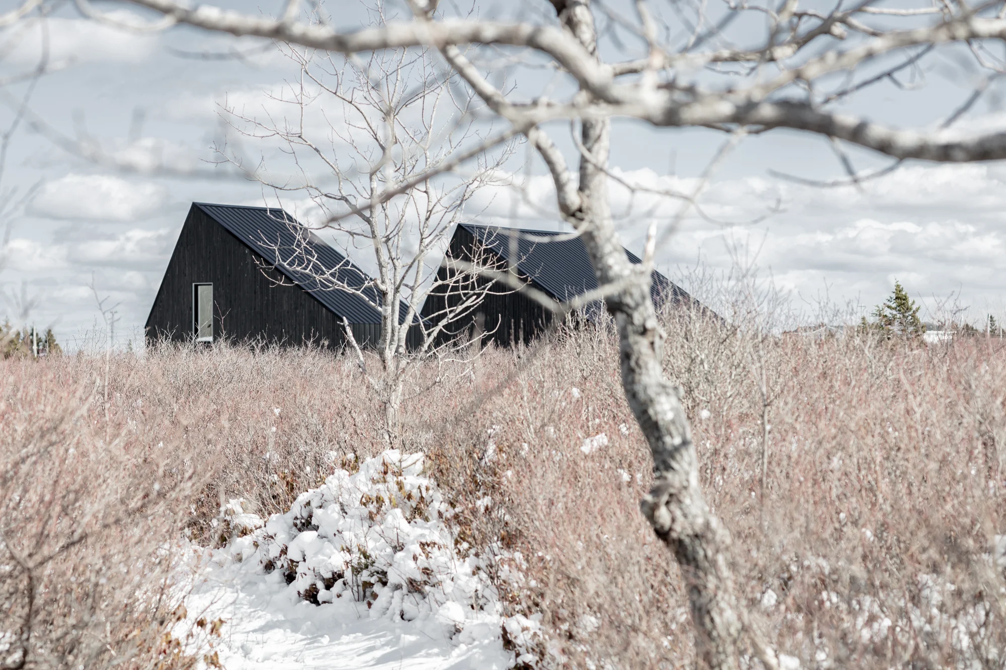 Architecture 1