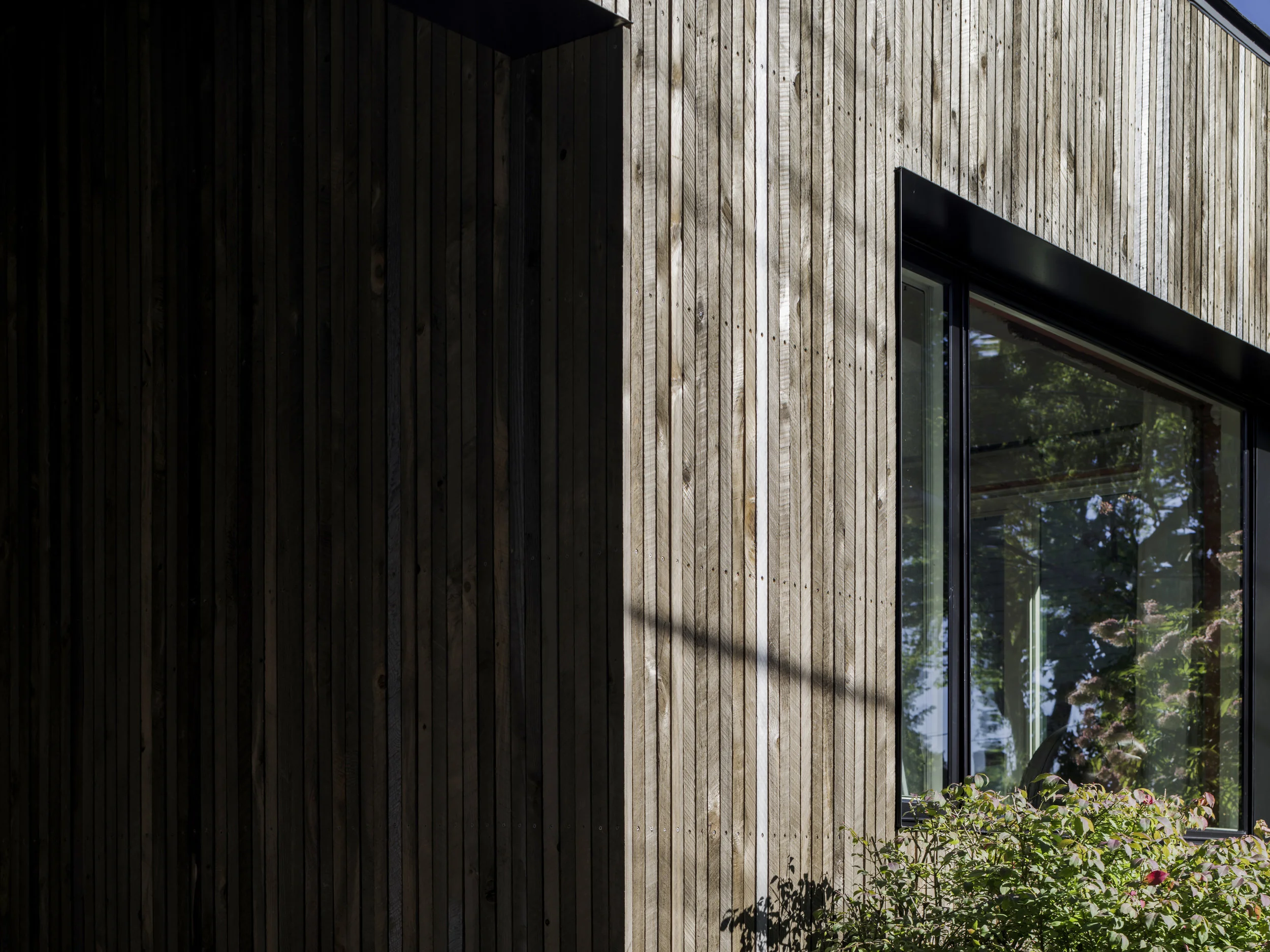 Elm Residence Wood Storage Volume Rear Integration