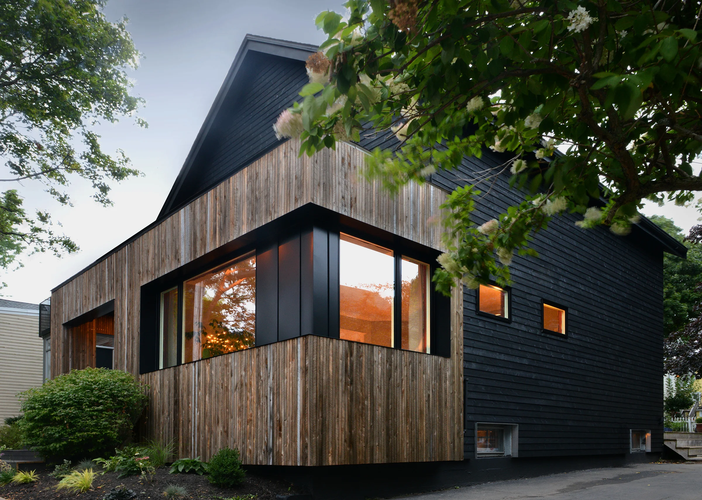 Elm Residence Streetscape Perspective