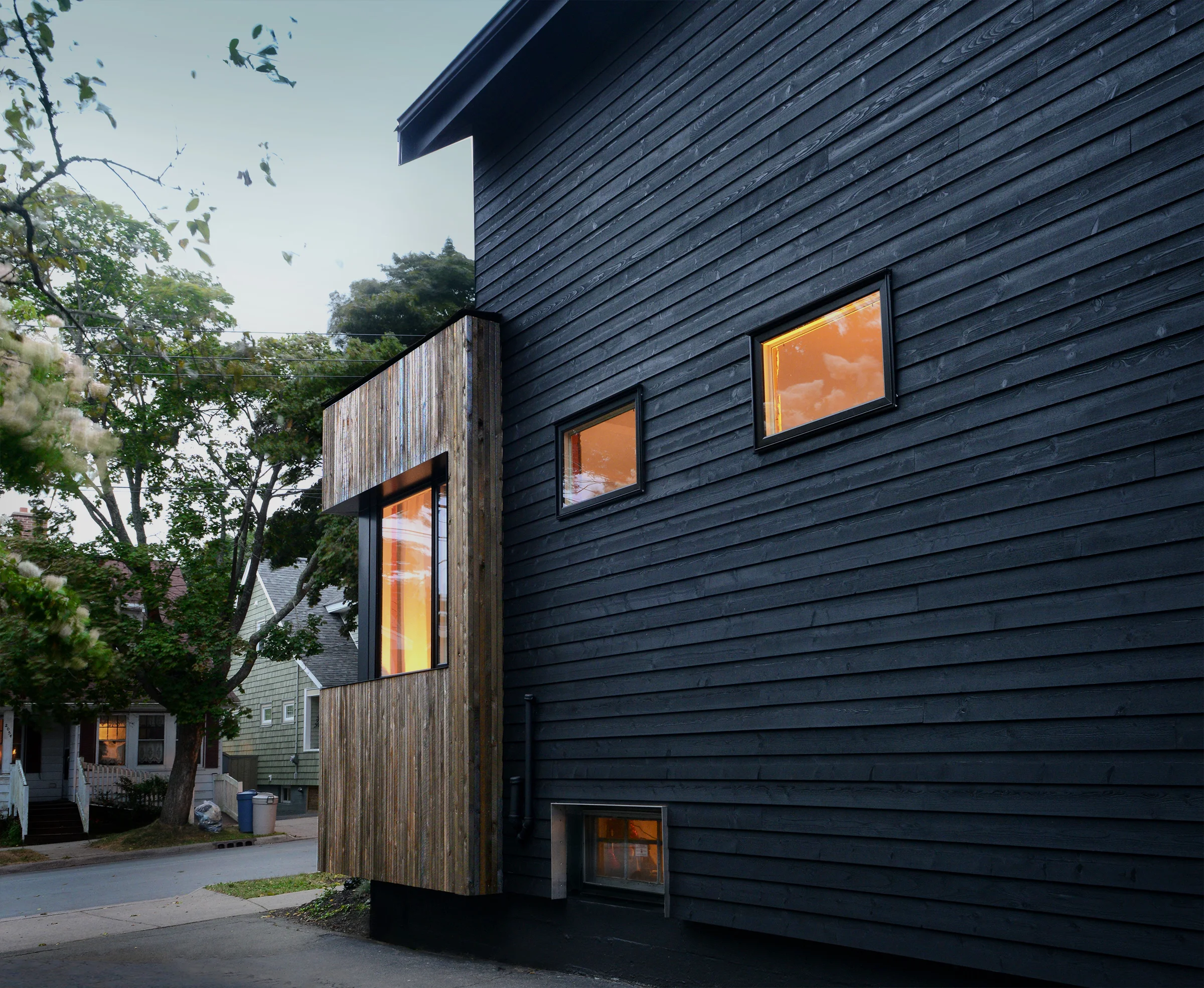 Elm Residence Rear Yard Cladding View