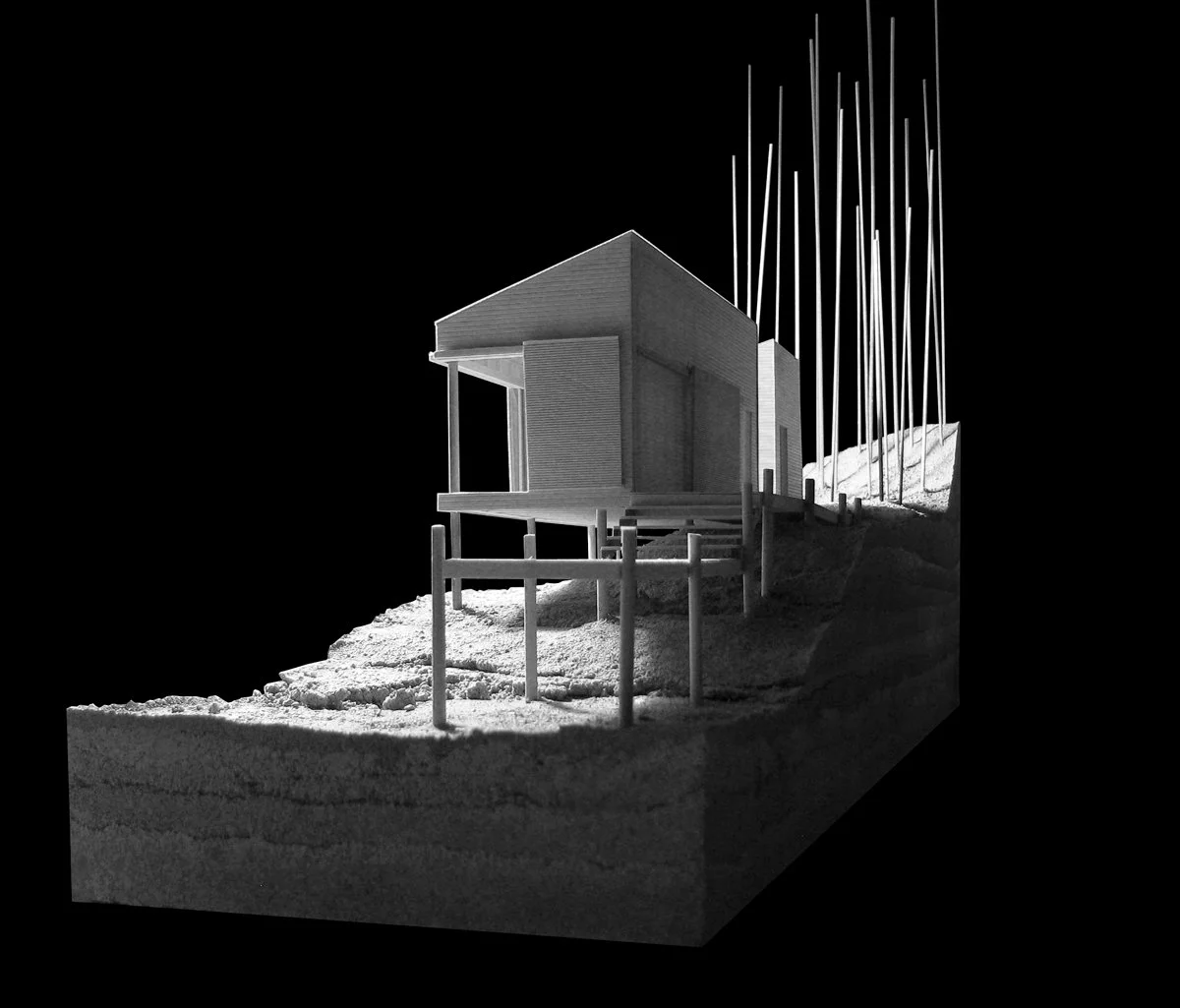 Architecture 1
