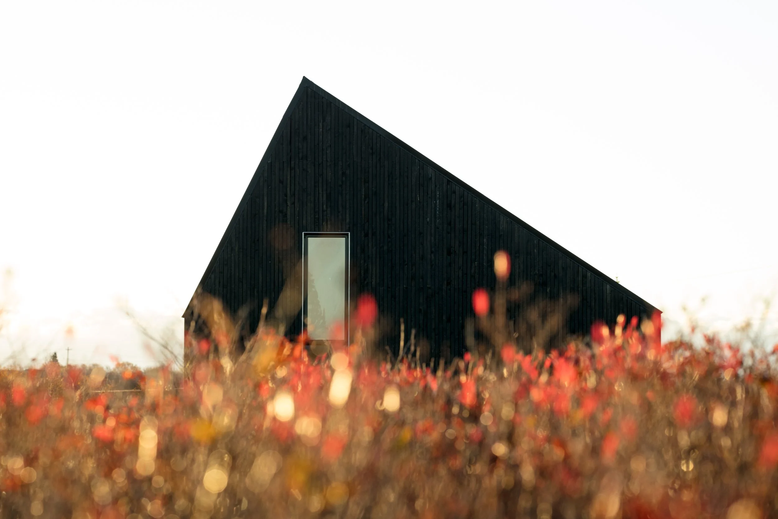 Architecture 1