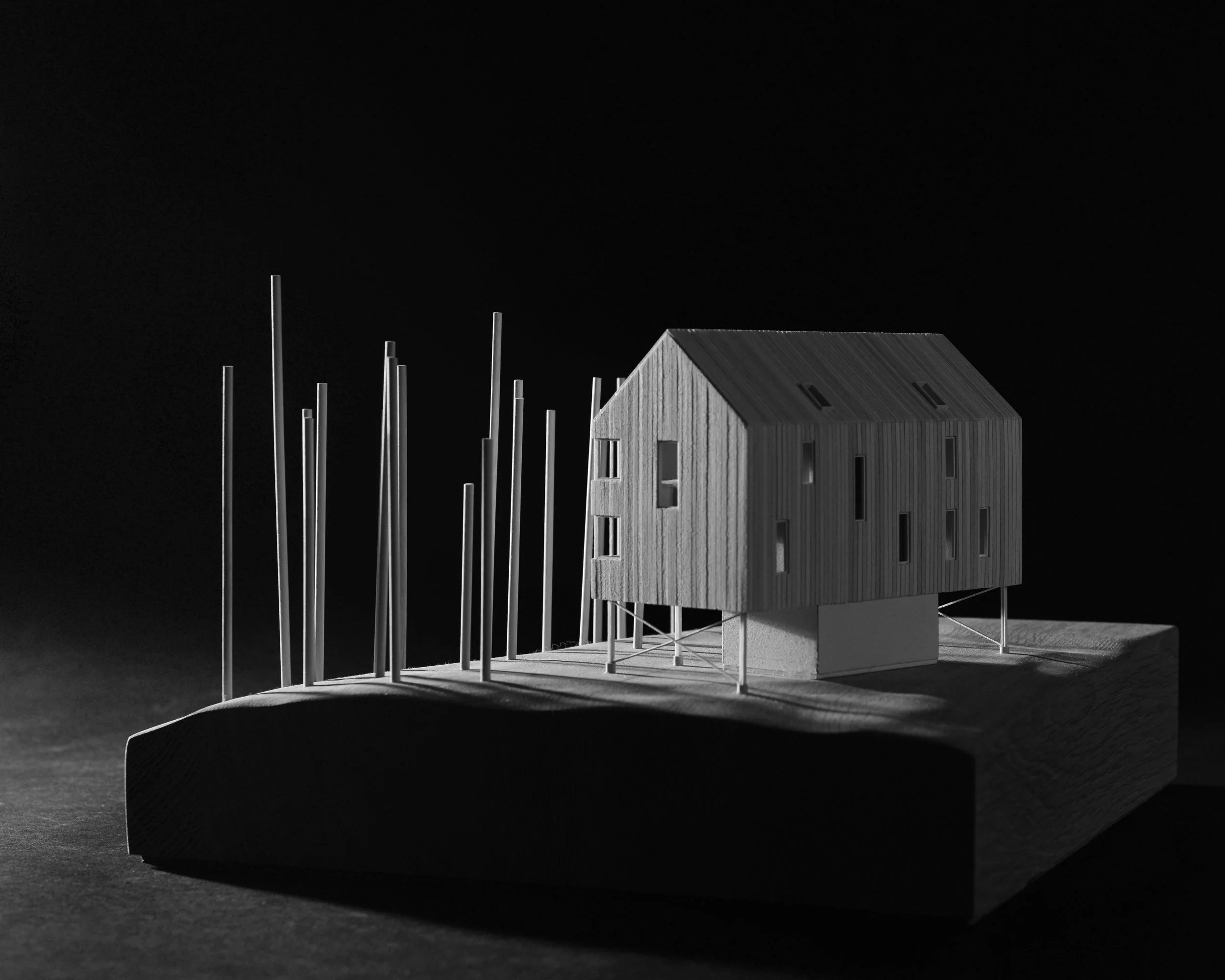 Architecture 1