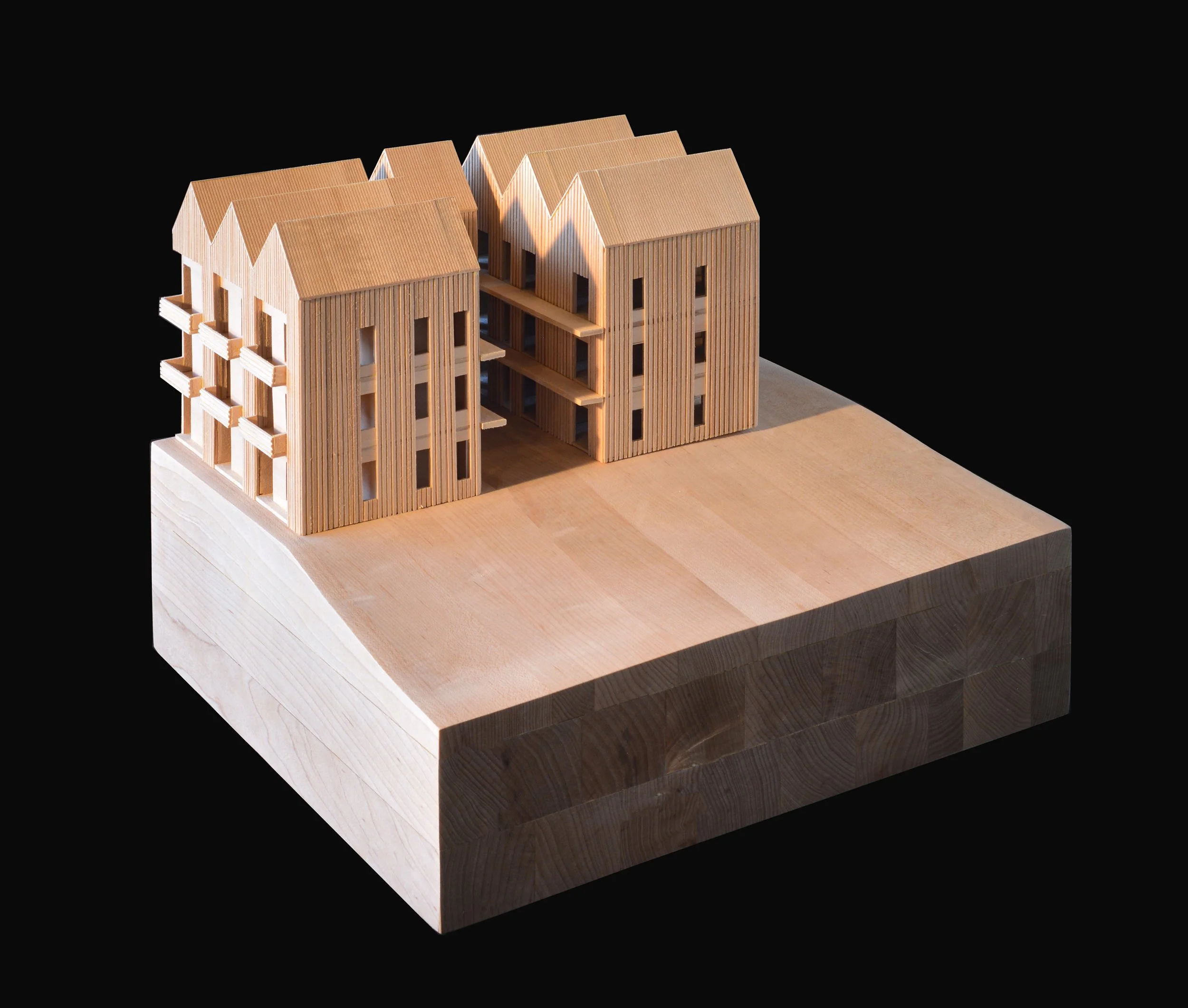 Fieldwork Architectural Site Elevation Drawing