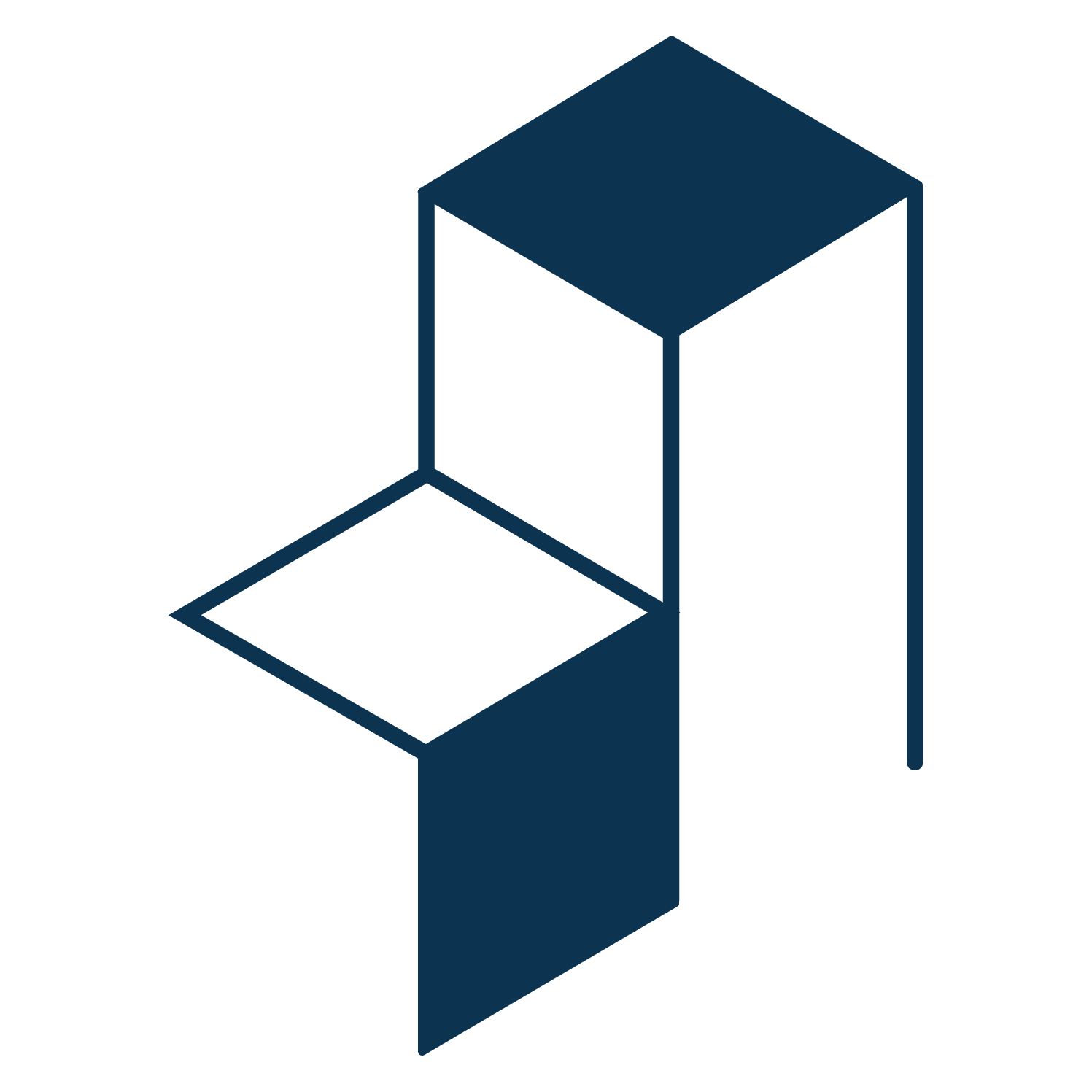 Asset Protection icon