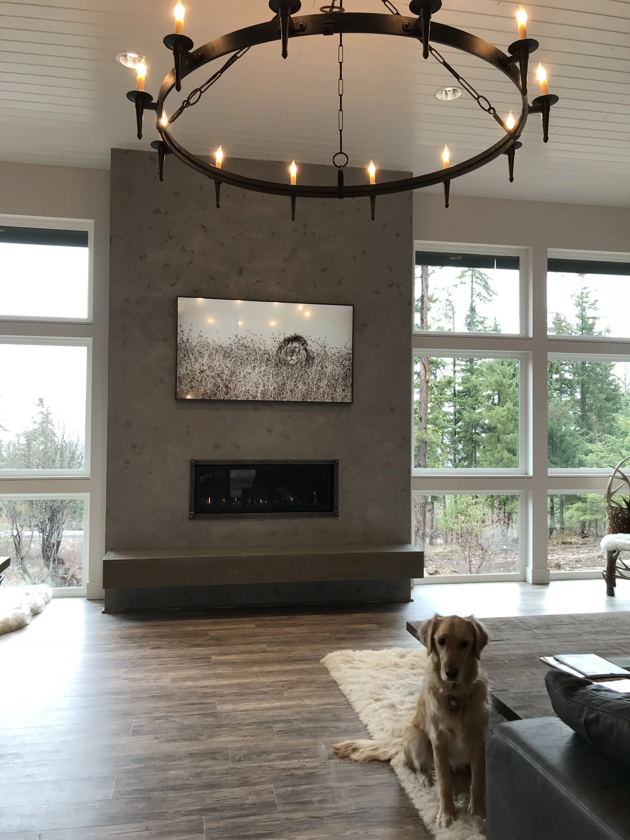 Stasik Residence fireplace