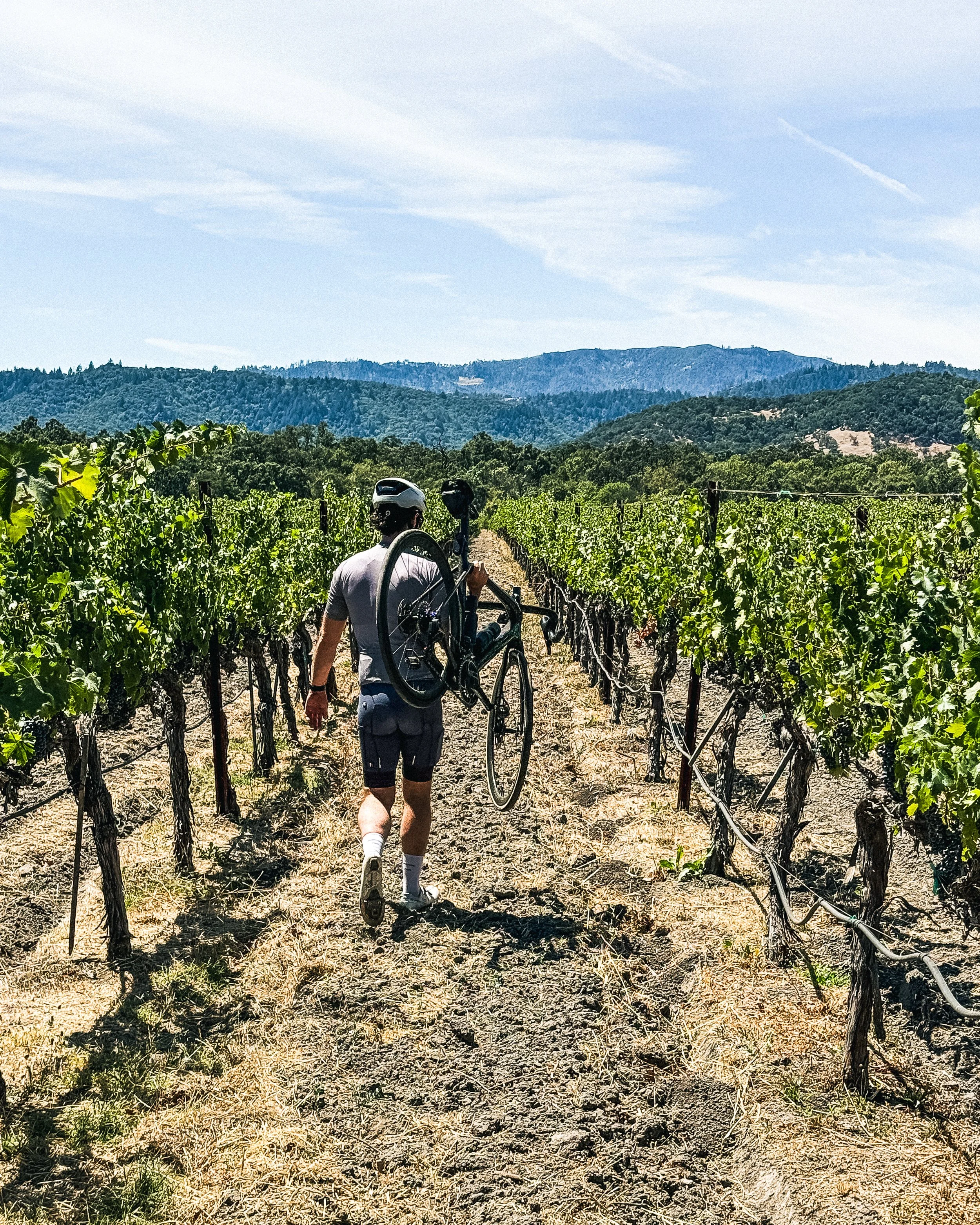 Napa cycling event