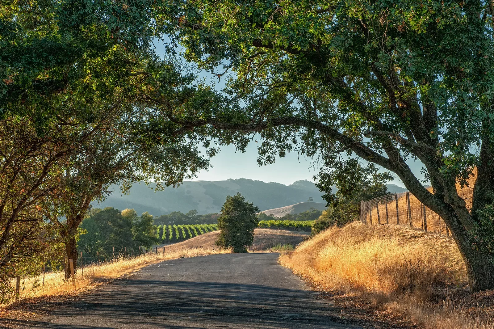 Healdsburg and Windsor Bike Tour