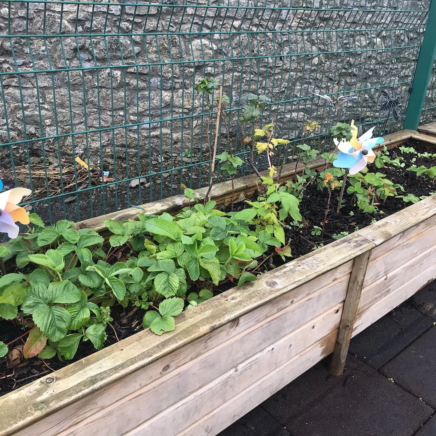 Raised garden beds