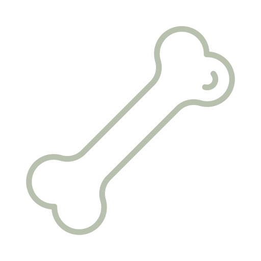 Bone Health