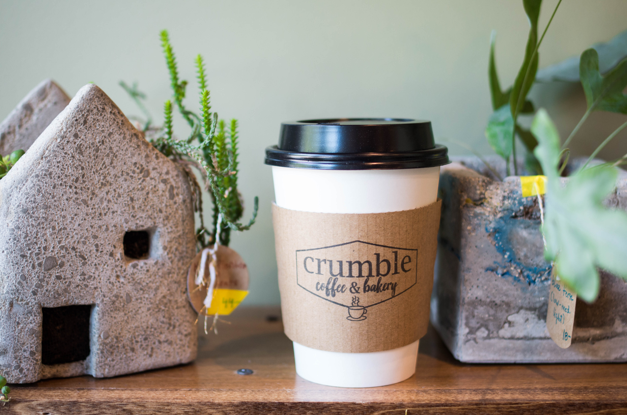 Crumble Coffee and Bakery coffee cup surrounded by plants and pottery