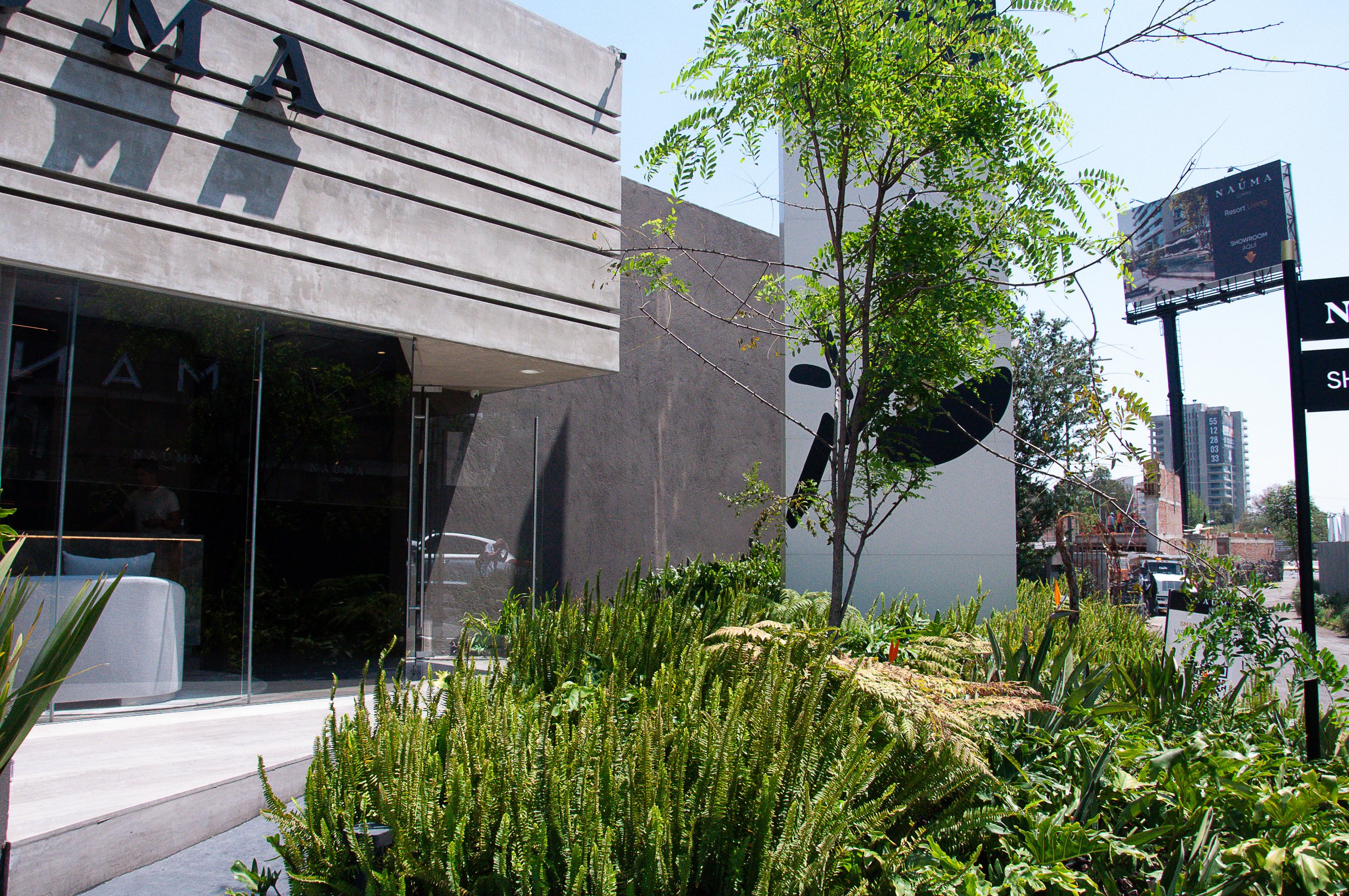 Showroom Naúma