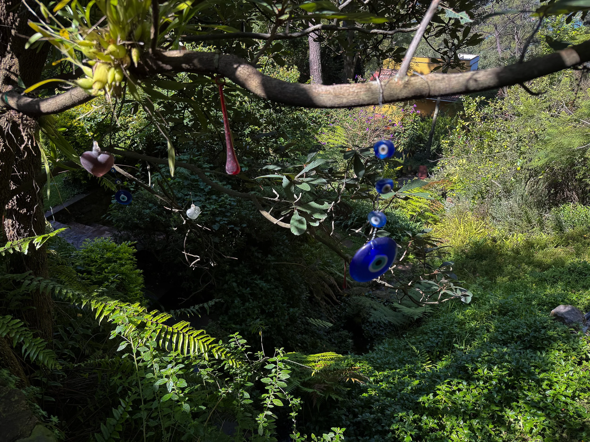 Monte Alto, atmósfera del jardín